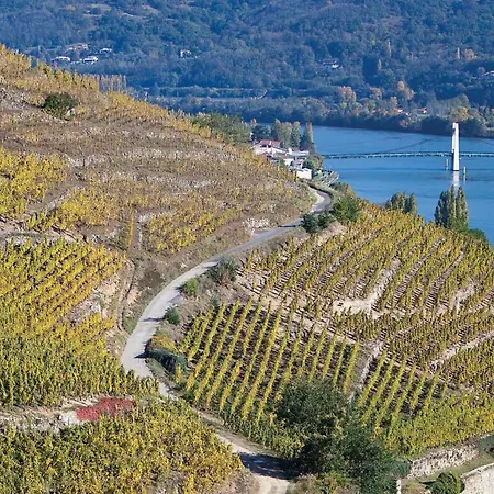 Ufer Der Rhone By Interhome Condrieu